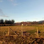 Cabana Cunco Parcela